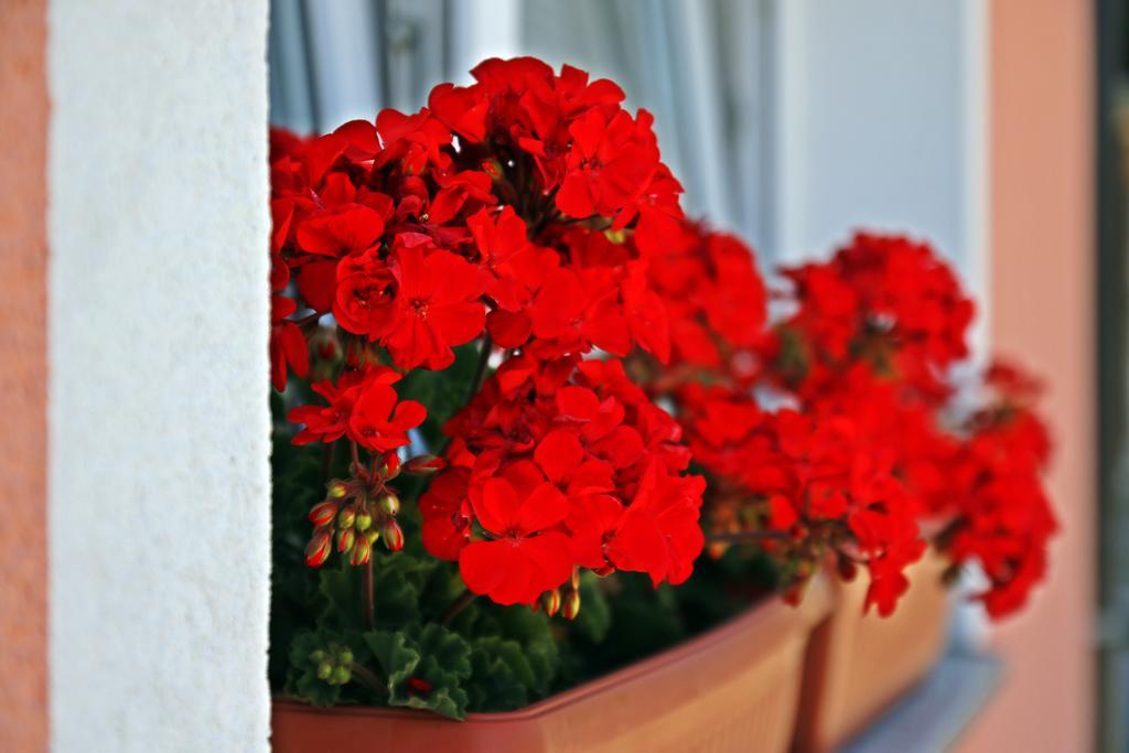 Apartment House Lalita Фужине Экстерьер фото